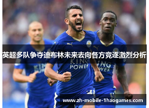 英超多队争夺迪布林未来去向各方竞逐激烈分析