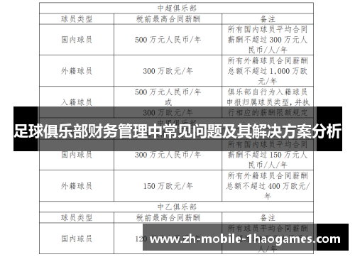 足球俱乐部财务管理中常见问题及其解决方案分析