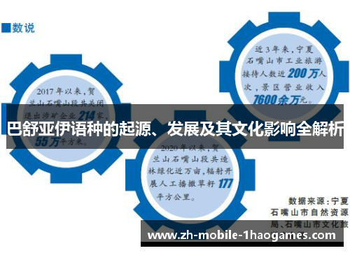 巴舒亚伊语种的起源、发展及其文化影响全解析