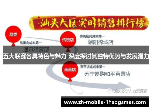 五大联赛各具特色与魅力 深度探讨其独特优势与发展潜力 五大联赛各具特色与魅力 深度探讨其独特优势与发展潜力