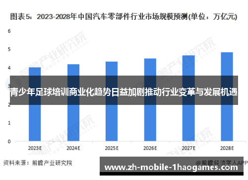 青少年足球培训商业化趋势日益加剧推动行业变革与发展机遇