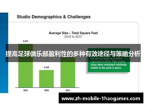 提高足球俱乐部盈利性的多种有效途径与策略分析