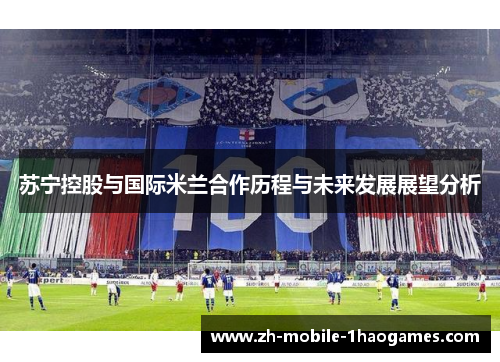 苏宁控股与国际米兰合作历程与未来发展展望分析