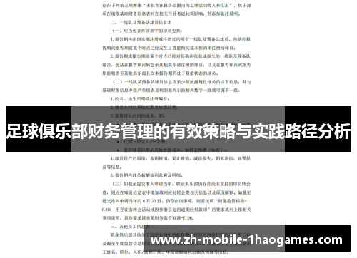 足球俱乐部财务管理的有效策略与实践路径分析 足球俱乐部财务管理的有效策略与实践路径分析
