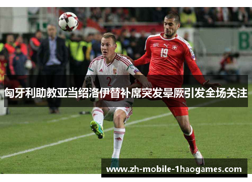 匈牙利助教亚当绍洛伊替补席突发晕厥引发全场关注 匈牙利助教亚当绍洛伊替补席突发晕厥引发全场关注