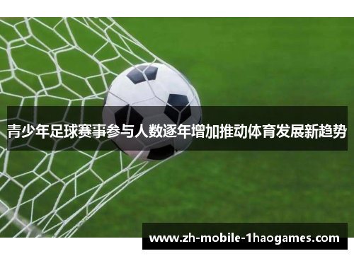 青少年足球赛事参与人数逐年增加推动体育发展新趋势