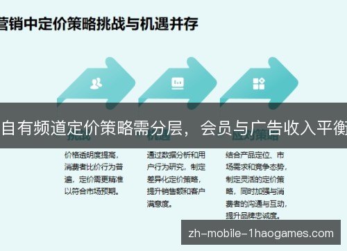 自有频道定价策略需分层,会员与广告收入平衡 自有频道定价策略需分层,会员与广告收入平衡